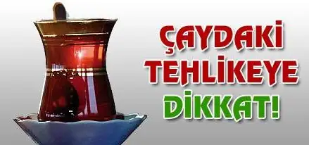 cay.webp