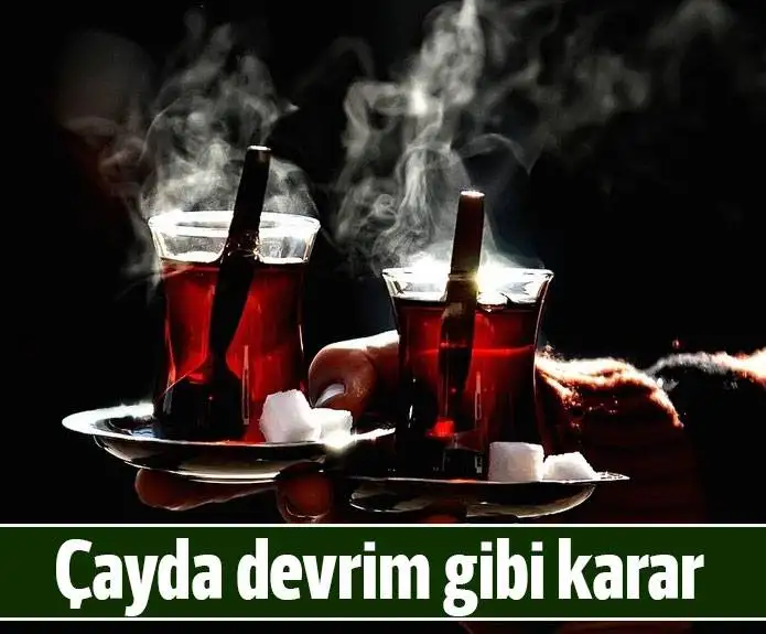 cay.webp