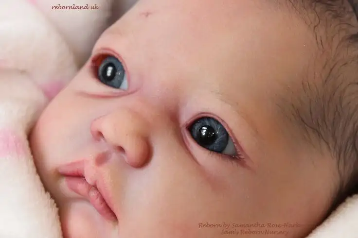 cb0e749d7e7a75b4bc6753778e346b7f (1).webp