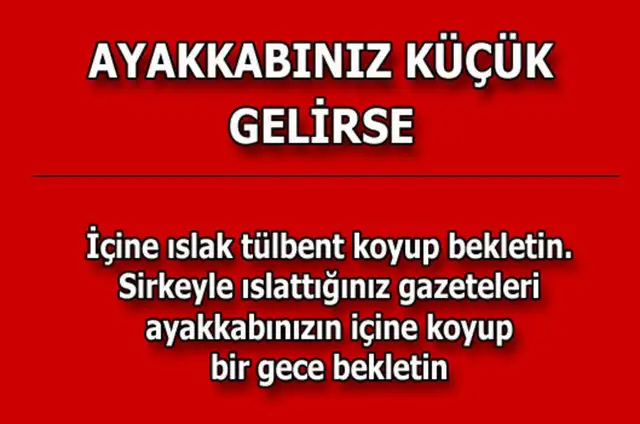 cbdcce300b881199644ad8d62fd15f1c_k.webp