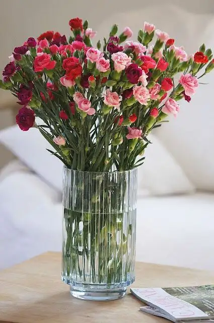 cc0fea25a5e7ed8fdee759f3978d5a40.webp