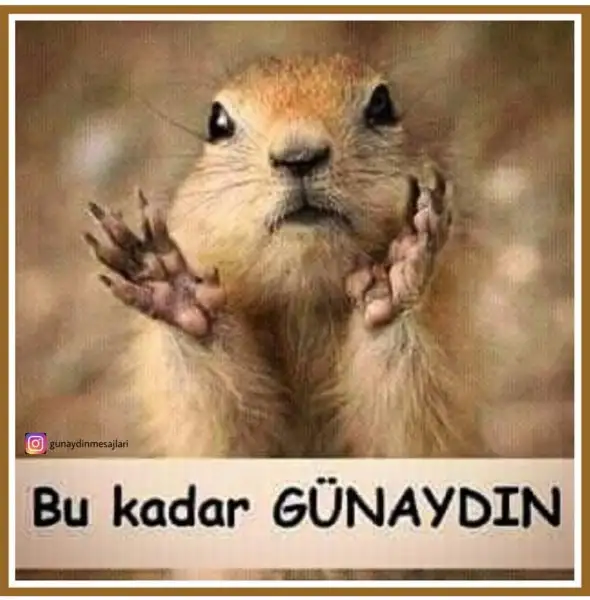 CC1F72EA-39B1-4ED7-8BD1-C1ABBE7B17E2.webp
