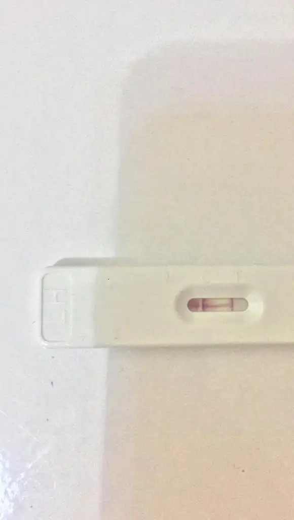 CC5CCA3E-75F1-459A-8031-DEFBB7ECCC5F.webp