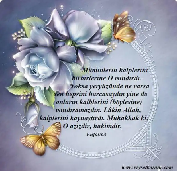 ccc.webp