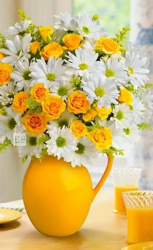 cd533e21261ca08ff31dc2f14cb888a5.webp