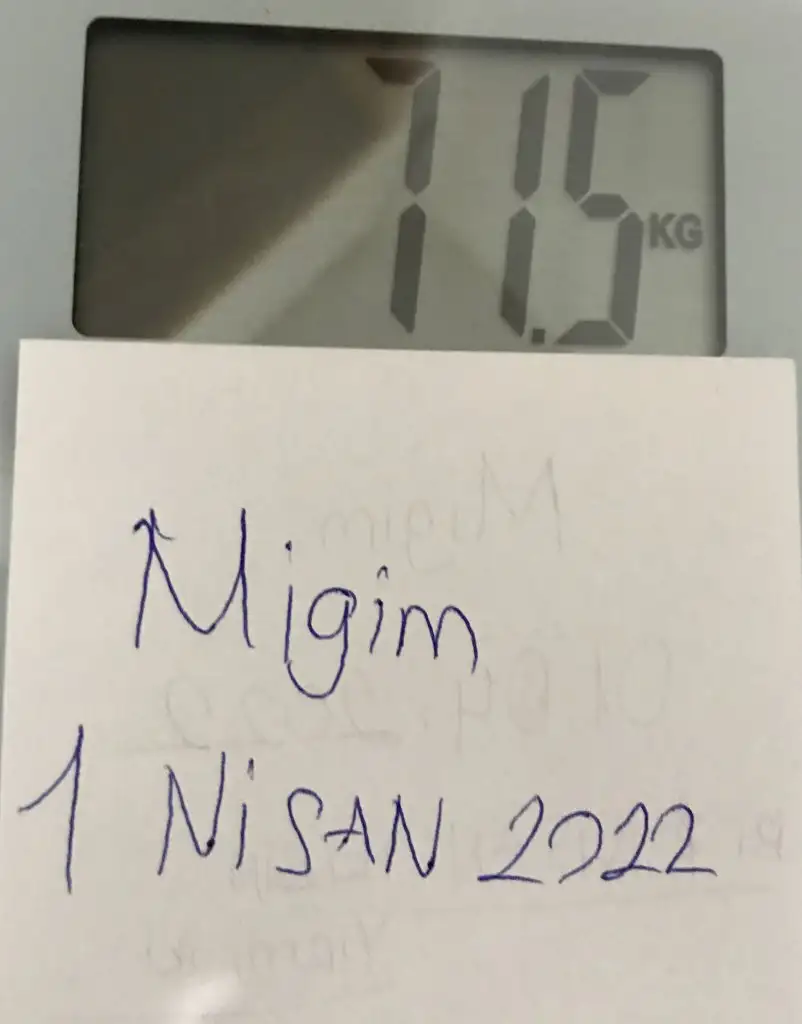 CDE4204E-FE32-4F12-99A3-8234A1856A98.jpeg