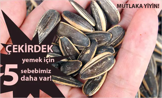 cekirdegin-5-faydasi-6141506.webp