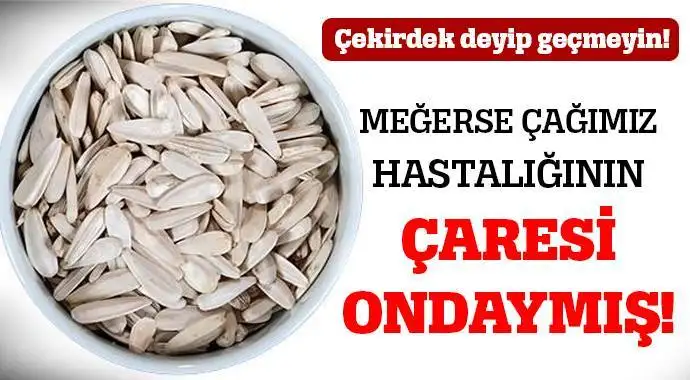 cekirdek.webp