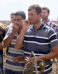 çekirdek.webp