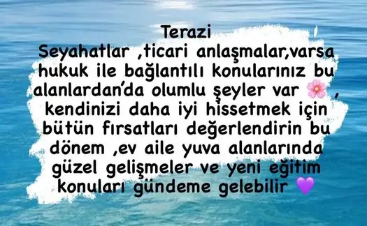 ceres1 (9).webp