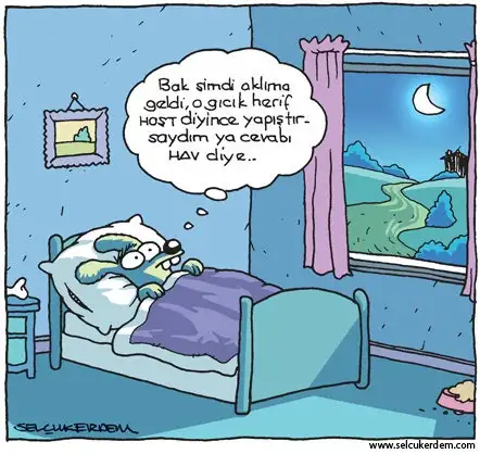 cevab-yaptrmak.webp