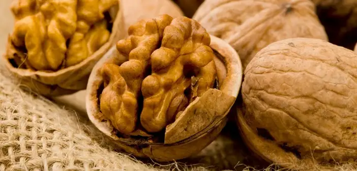 ceviz-farkli-kanser-turlerine-karsi-fayda-sagliyor-18.webp