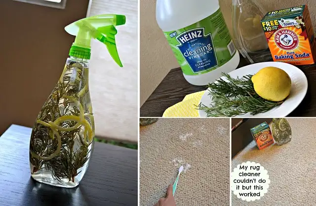 Chemical-Free-Cleaning-2.webp