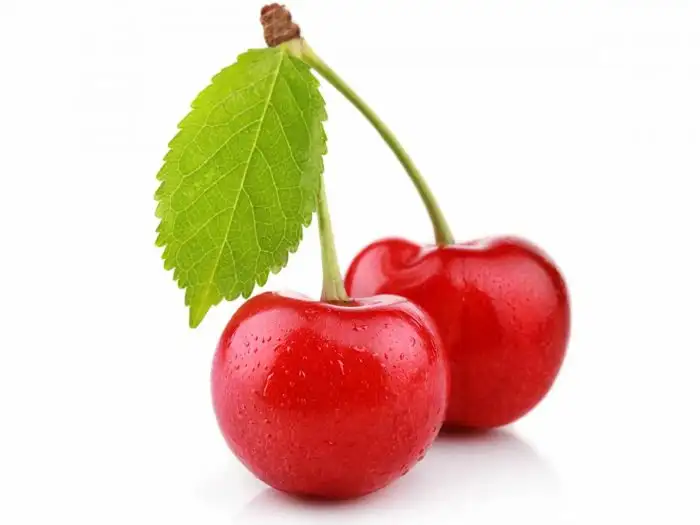 cherry.webp