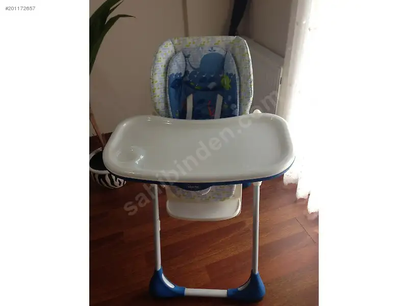 chicco.webp
