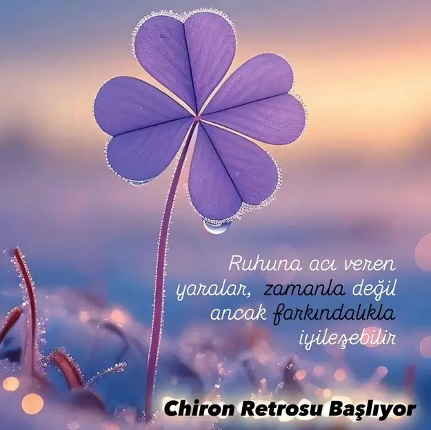 chiron (1).webp