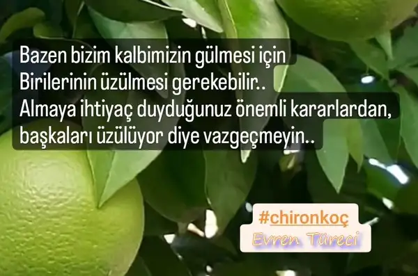 chron.webp
