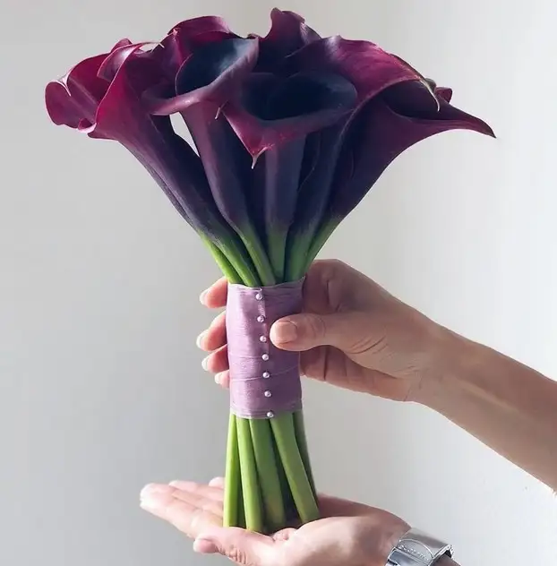 çiç (2).webp