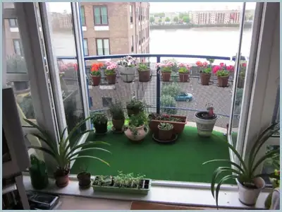 cicek-balkon.webp