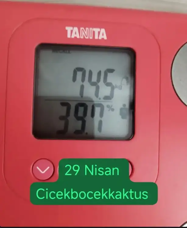 cicek.webp