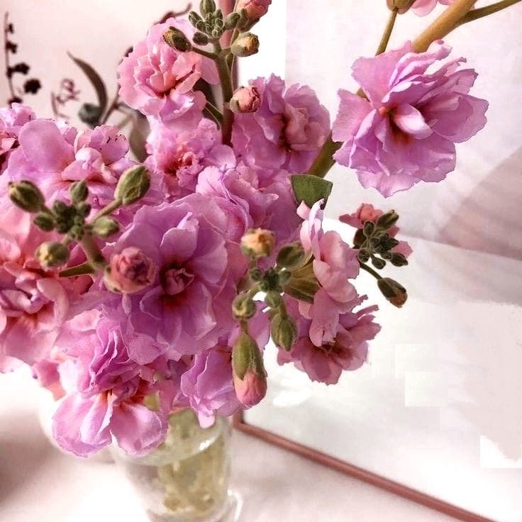çiçek13 (2).jpg