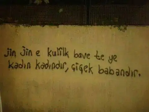 cicek3.webp