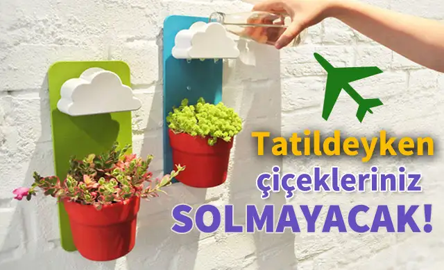 cicekler-icin-inanilmaz-bulus-5497862.webp