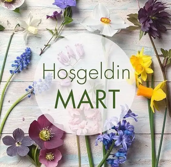çiçeks (9).webp