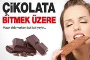 ciko.webp