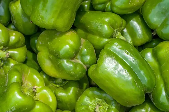 cilt-yaslanmasini-onleyen-gidalar-7.webp