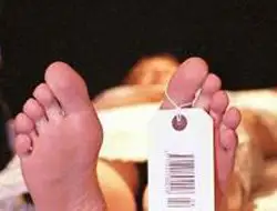 clip_image001.webp