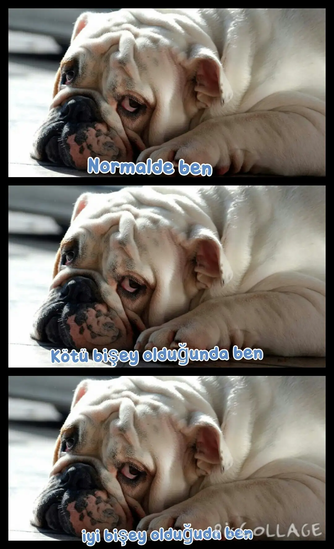 Collage 2014-09-12 18_48_14.webp