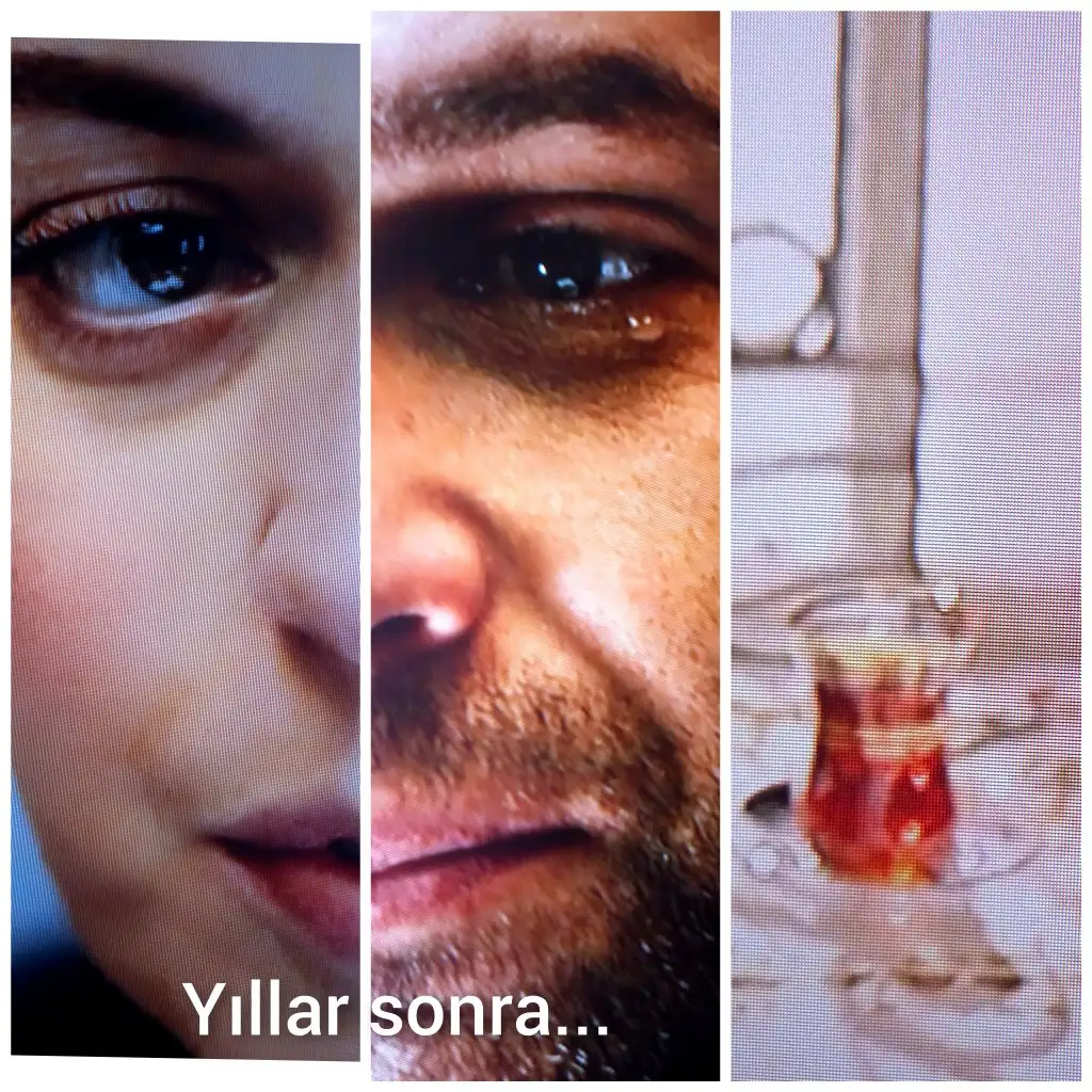 CollageMaker_20201229_232859014.webp