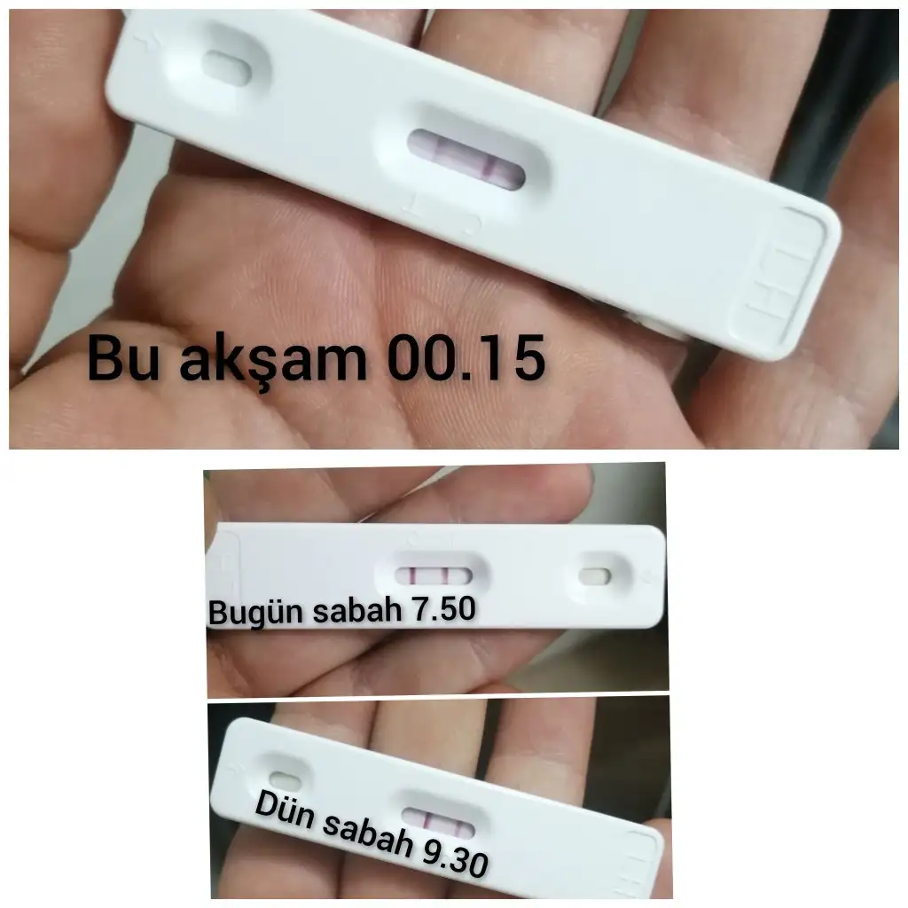 CollageMaker_20210518_003002964.webp