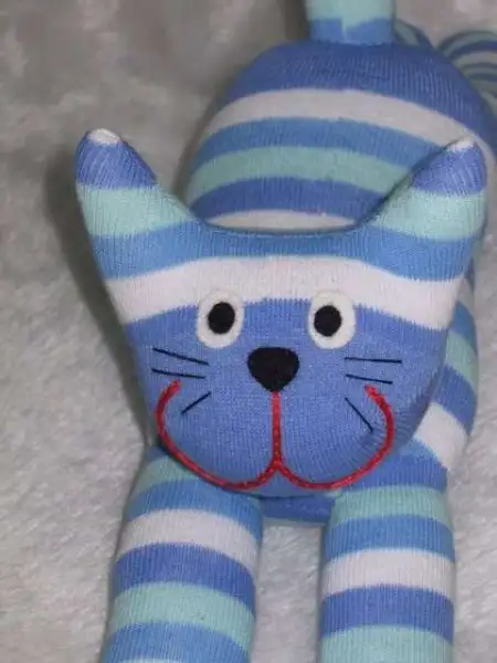 coraptan_kedi_nasil_yapilir_resimli_anlatim_10.webp