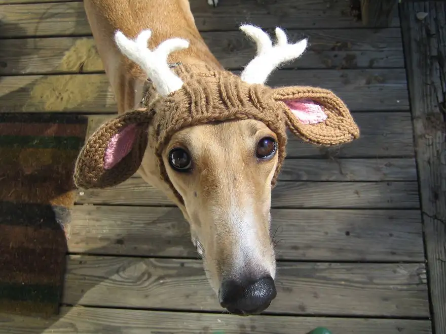 creative-knit-hat-161__880.webp