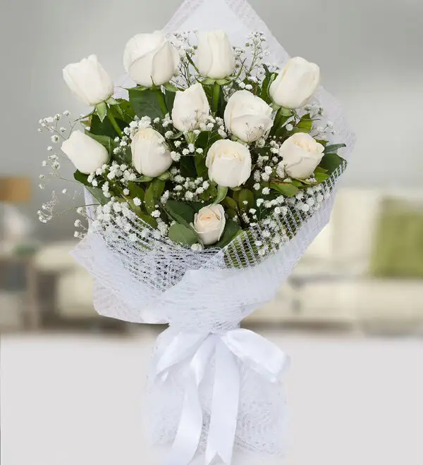 cs080.webp