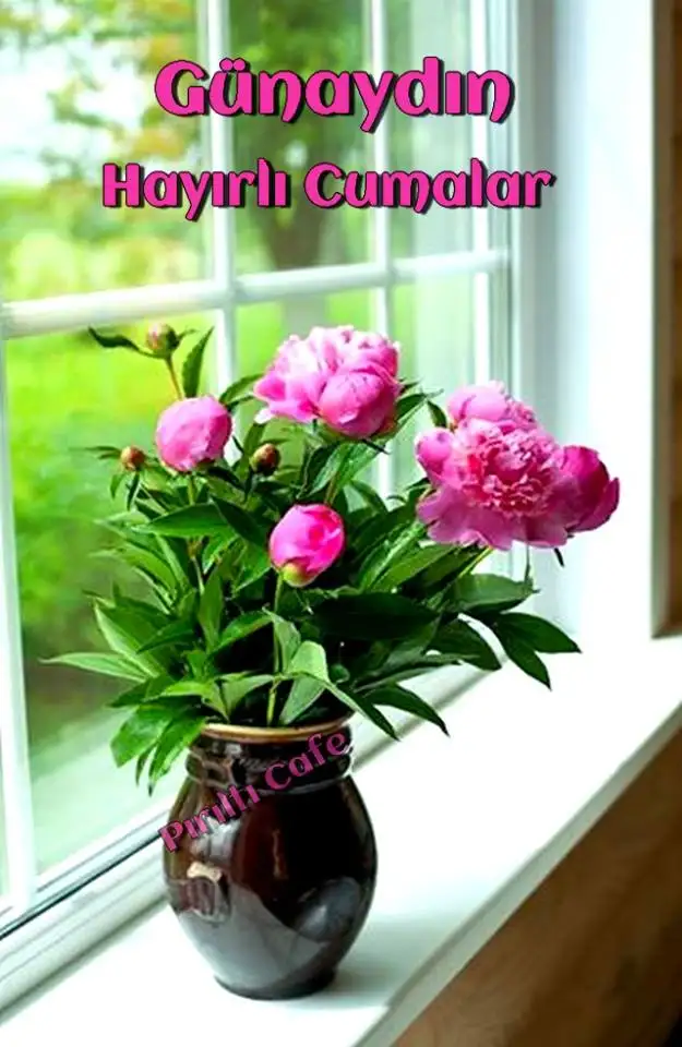 cuma_007.webp