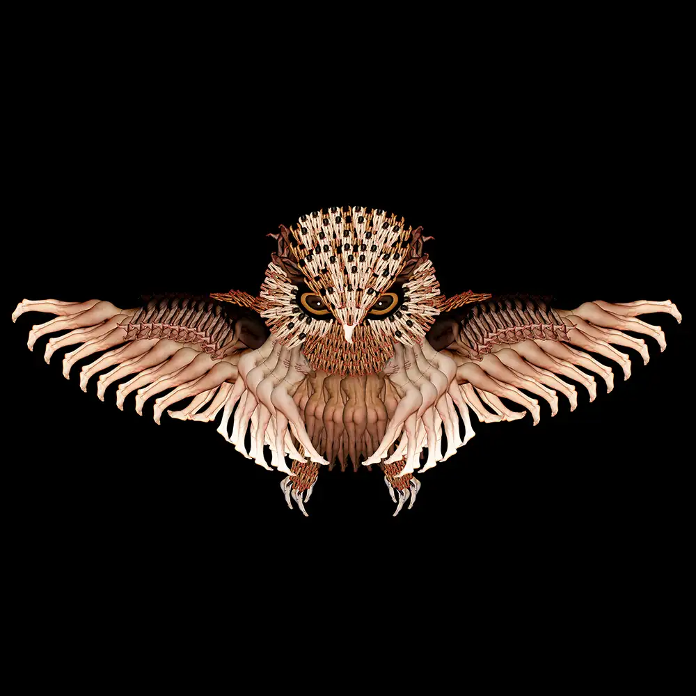 CW-NightOwl-1000.webp