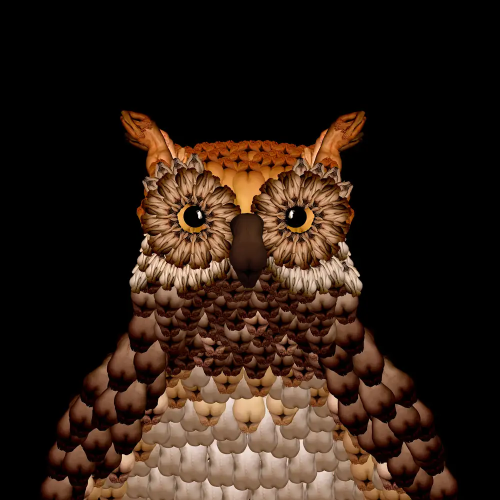 CW-Owl-1000.webp