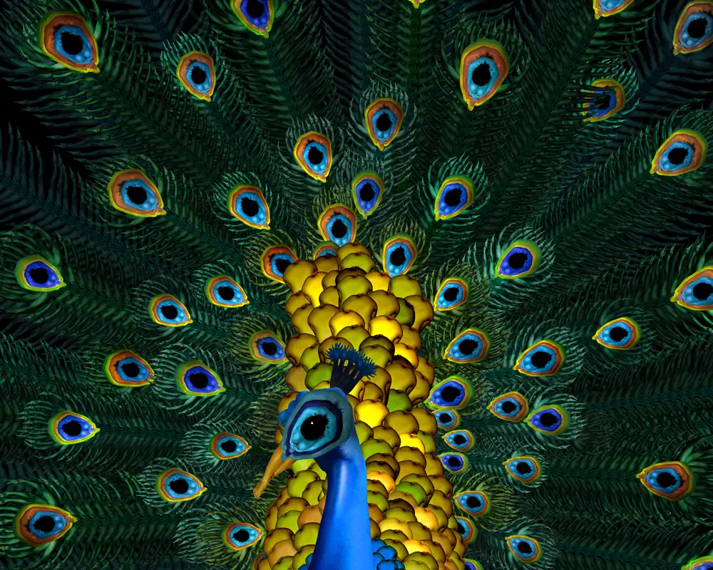 CW-Peacock-1000.webp
