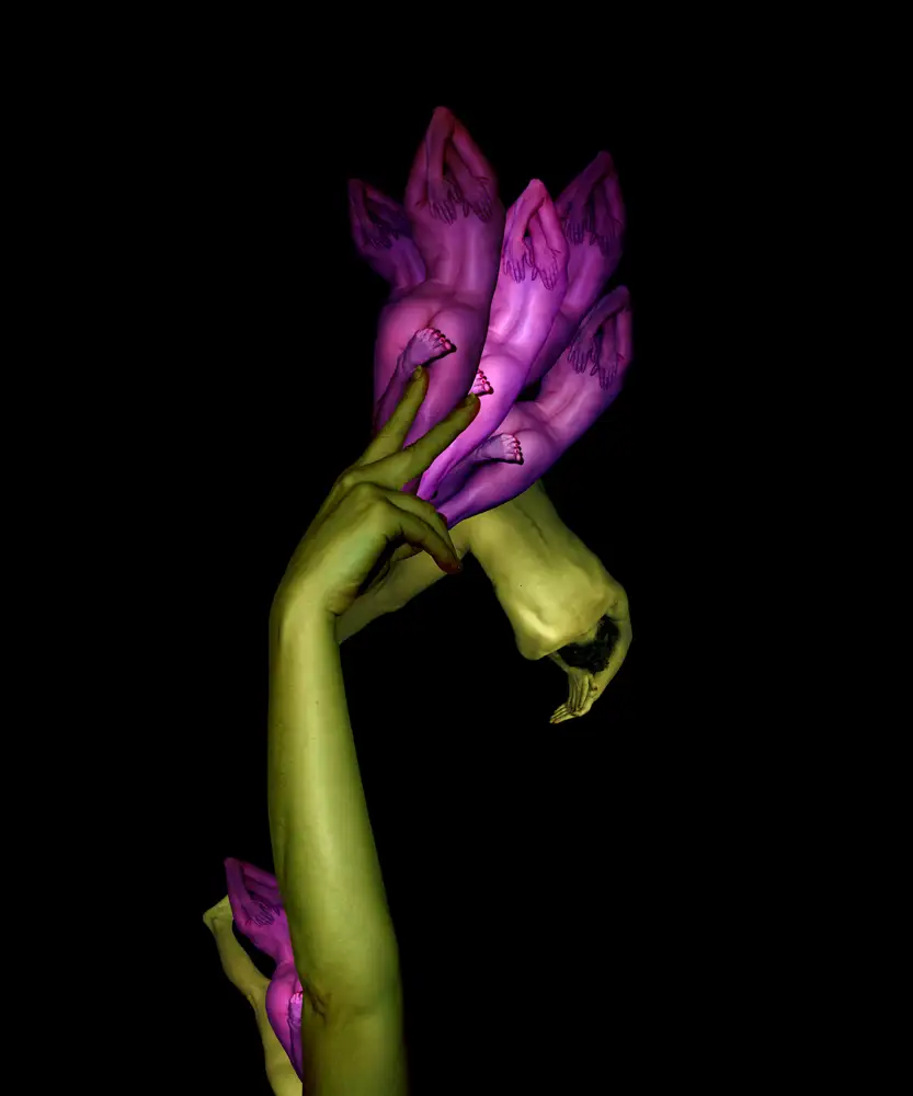 CW-Purple_Tulip-1000.webp