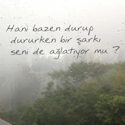 d.webp