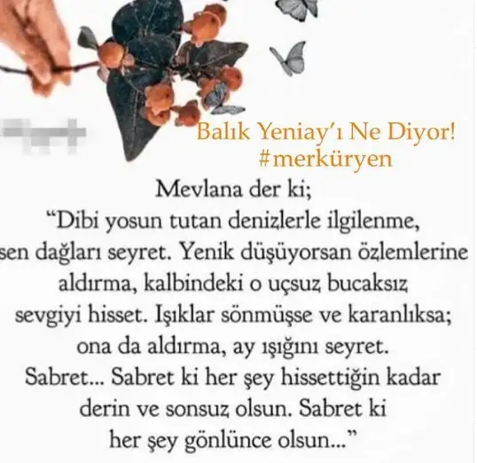 d.webp