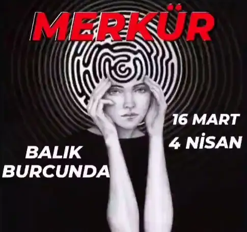 d.webp