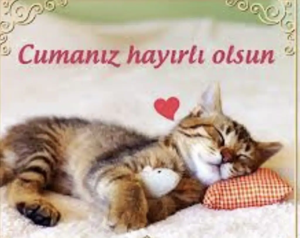 D01DF1CD-D369-4C1C-B257-CB01338529CA.webp