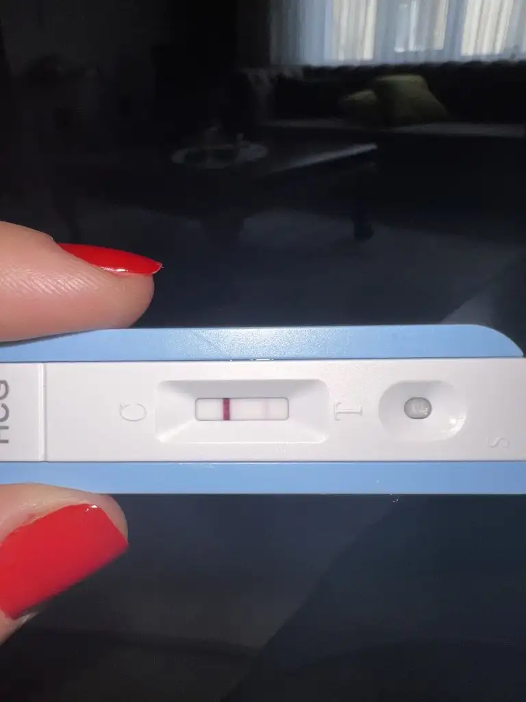D09D7040-B30A-4D40-8E03-1906F90DB19B.webp