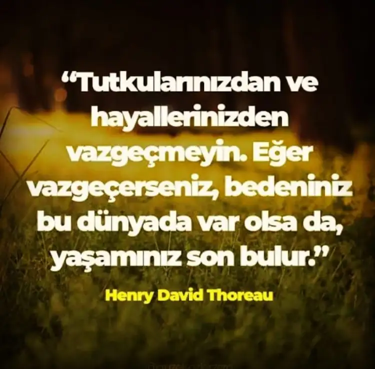 D0EFBC2F-5070-4549-8CE0-281F6754D464.webp
