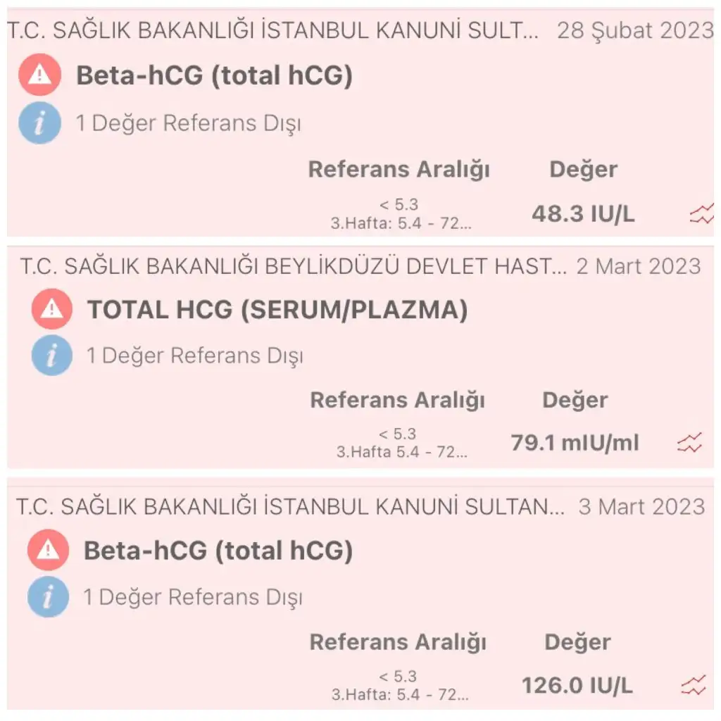 D327ED40-D7C2-43B8-B125-76DBB2EDC288.webp