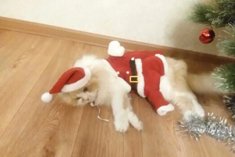D38685D5-3747-46E9-A7CE-3F570FF99283.webp